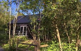 Alder Cabin
