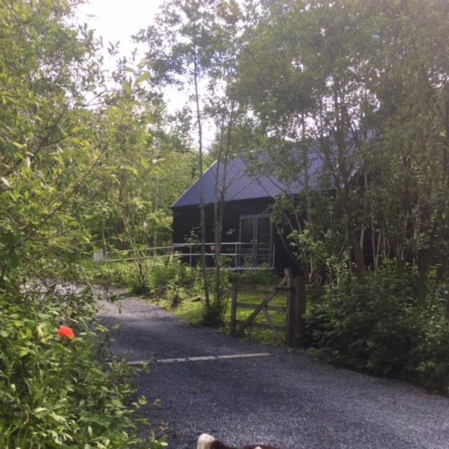 Alder Cabin Kilkenny Extérieur photo