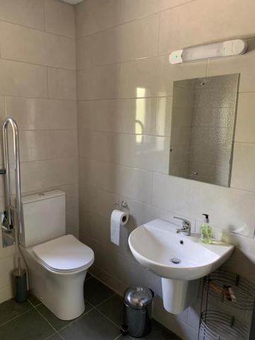Alder Cabin Kilkenny Chambre photo